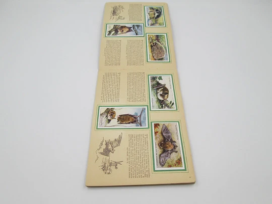 Álbum cromos animales de la campiña. John Player. 50 estampas color. 19 páginas. 1939
