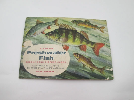 Álbum cromos peces de agua dulce. Brooke Bond. 50 estampas color. 16 páginas. 1960's
