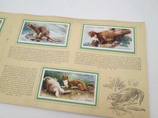 Animals of the countryside picture cards album. John Player. 50 colour images. 1939