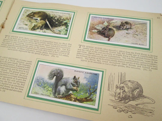 Animals of the countryside picture cards album. John Player. 50 colour images. 1939