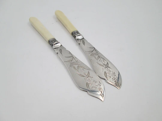 Boxed travel cutlery. Ornate butter knife set. Alpaca and ivory. Birds & leaves motifs. 1900's