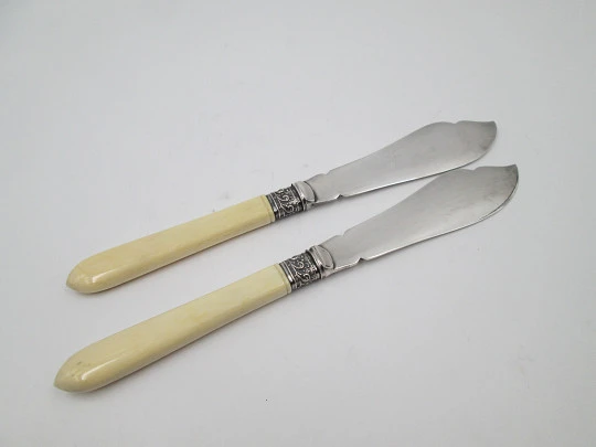 Boxed travel cutlery. Ornate butter knife set. Alpaca and ivory. Birds & leaves motifs. 1900's