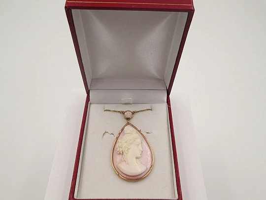 Cameo pendant. 18K gold rim and chain. 1950's. Woman with headdress