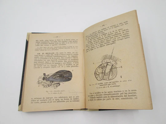 Cosmological Sciences. Emilio Moreno & Juan Cuesta. Aldus publisher. 1940. Santander