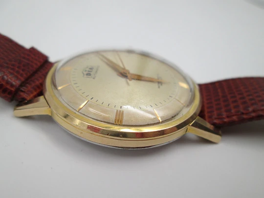 Dia Isoflex. Gold plated & stainless steel. 1960's. Automatic. Strap. Swiss