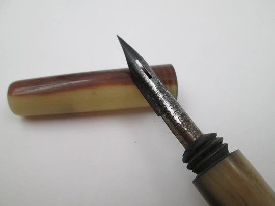 Dip calligraphy pen. Cream and brown antler. Metal nib. Europe. 1900's