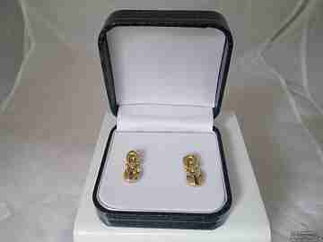 Earrings. 18K yellow gold and rubies. Case. 1970's. Woman