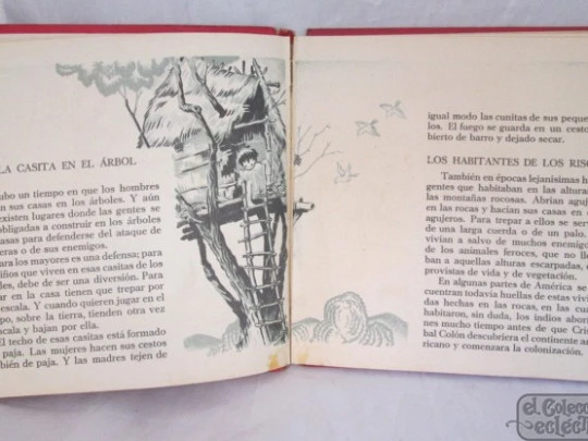 El Libro de la Vivienda. Maud y Miska Petersham. Años 50. Juventud