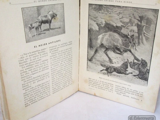 El Mundo Animal para Niños. Ramón Sopena. 1942. Cromotipias y grabados