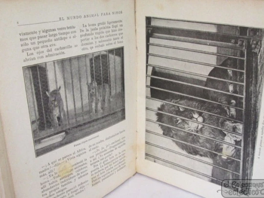 El Mundo Animal para Niños. Ramón Sopena. 1942. Cromotipias y grabados
