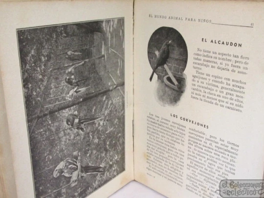 El Mundo Animal para Niños. Ramón Sopena. 1942. Cromotipias y grabados