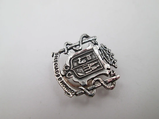 Emblema unisex de farmacia para solapa. Plata de ley. Escudo ciudad de Zamora. 1980