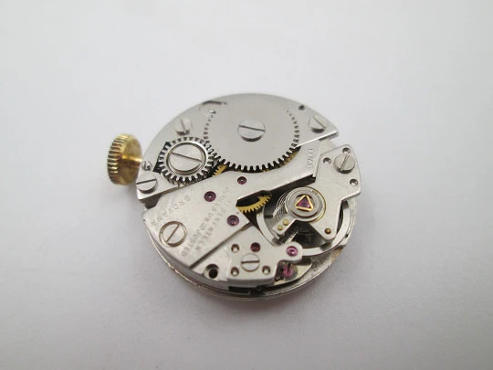 Grovana pendant watch. Gold plated and flowers enamel. Manual wind. Swiss. 1970's Grovana pendant watch. Gold plated and flowers enamel. Manual wind. Swiss. 1970's
