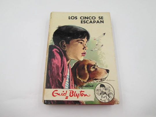 Los cinco se escapan. Enid Blyton. Libro ilustrado. Editorial Juventud, 1971