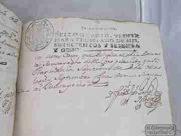 Manuscript. 1758. Census contract. Vélez. Parchment covers. 166 pages