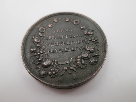 Matilde Bonaparte medalla cobre. Busto princesa relieve. Gaybard. 1850. Francia