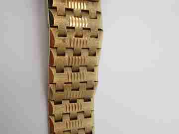 Mondia Moonlander. Gold plated & stainless steel. Automatic. 1960's. Bracelet