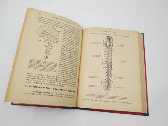 Nociones de Fisiología y Microbiología. Salustio Alvarado. 181 grabados. 1936