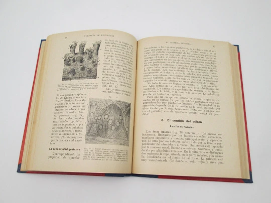 Nociones de Fisiología y Microbiología. Salustio Alvarado. 181 grabados. 1936