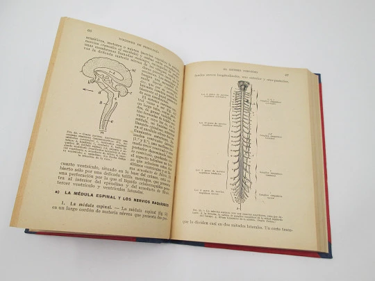 Notions of Physiology and Microbiology. Salustio Alvarado. 181 engravings. 1936