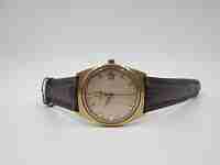 Omega Seamaster. Chapado oro / acero. Automático. 1960. Fecha. Correa