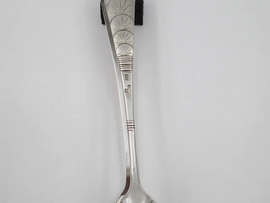 Ornate ice tongs. 800 sterling silver. Shells and sun rays motifs. Germany. 1960's