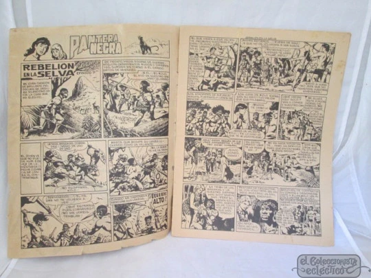 Pantera negra. Editorial Maga. Años 60. Revista gráfica. 3 números