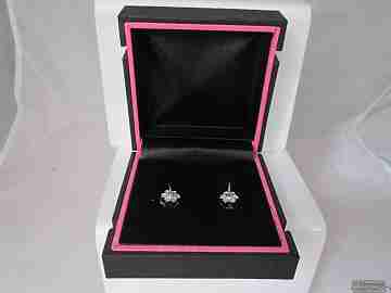 Pendientes. Oro blanco 18 kilates. Diamantes. Roseta. 1990. Estuche