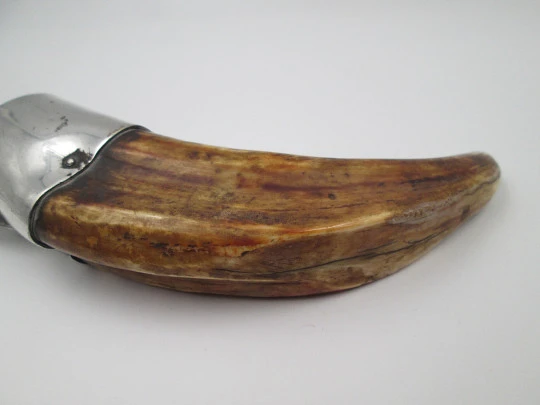 Pfeilring Solingen desk cigar cutter. Horn handle & nickel plated steel. 1940's. Germany Pfeilring Solingen desk cigar cutter. Horn handle & nickel plated steel. 1940's. Germany