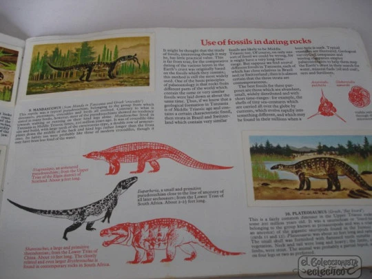 Prehistoric animals. Brooke Bond Oxo. 1942. 50 colour stickers