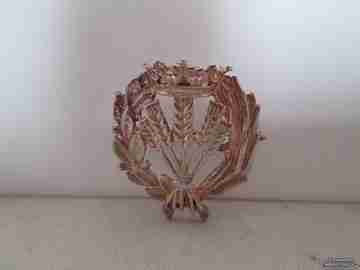 Professional emblem. Silver. Agricultural engineer. 1980's