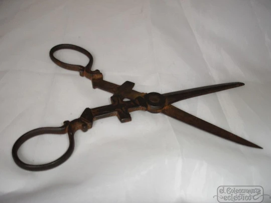 Rare scissors. Iron. Cross and Christ motifs. 19-20th centuries