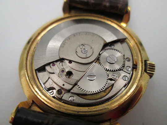 Reloj automático Royce Leadership. Chapado oro y acero inoxidable. Calendario. 1960