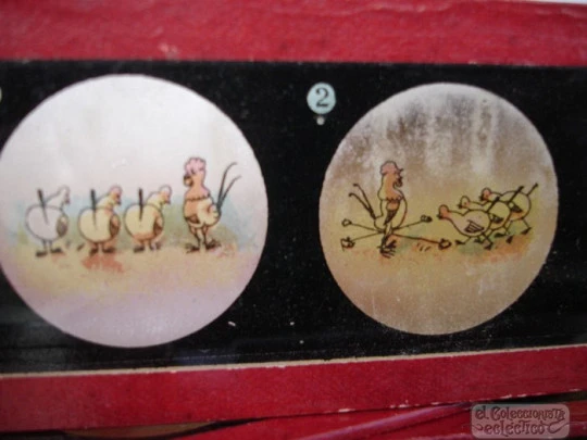 Set of 12 magic lantern slides. Original box. Johann Falk. 1910