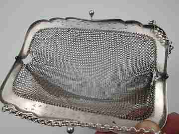 Sterling silver mesh bag. Openwork clutch frame. Vegetable motifs. Europe. 1920's