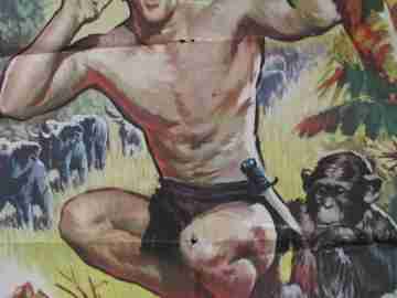 Tarzan The Ape Man. 1972. Denny Miller & Joseph Newman. MGM