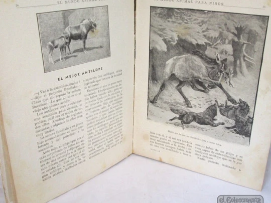 The Animal World for Children. Sopena, 1942. Chromotypes & engravings