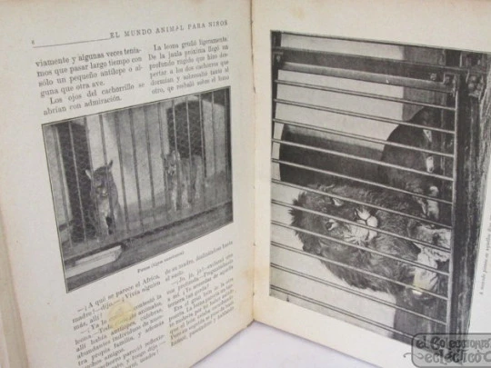 The Animal World for Children. Sopena, 1942. Chromotypes & engravings