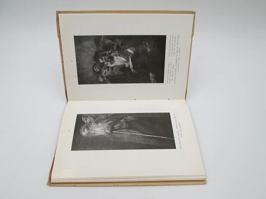 The Art in Spain. Goya in the Prado Museum. Thomas Edition. 48 Illustrations. 1940's