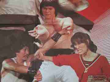 The cat drunken master of kung fu. 1981. Cheung Sum & Yuen Siu Tin