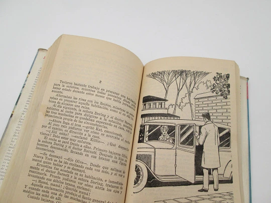 Triumphant youth. Fanny Bella Irving. Illustrated book. Dalia Collection. 1960