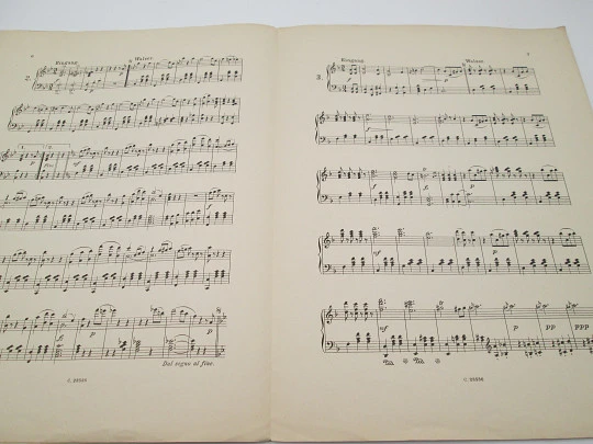 Waltz Du und Du. Operetta The Bat. Pianoforte. Johann Strauss. 19th century. Germany