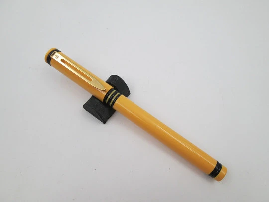 Waterman Forum. Bitone orange & black plastic. Golden plated details. France. 1980's