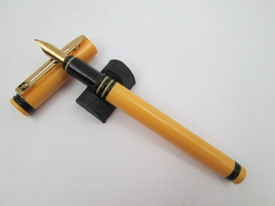 Waterman Forum. Bitone orange & black plastic. Golden plated details. France. 1980's