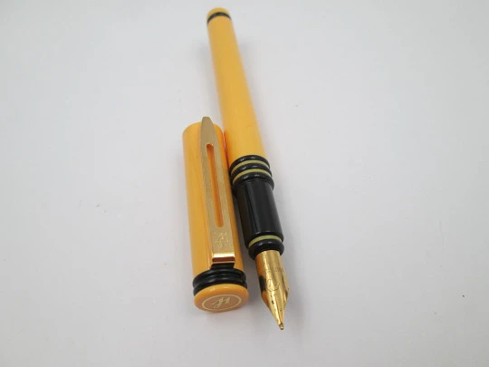 Waterman Forum. Plástico bicolor naranja negro y metal dorado. Francia. 1980 Waterman Forum. Plástico bicolor naranja negro y metal dorado. Francia. 1980