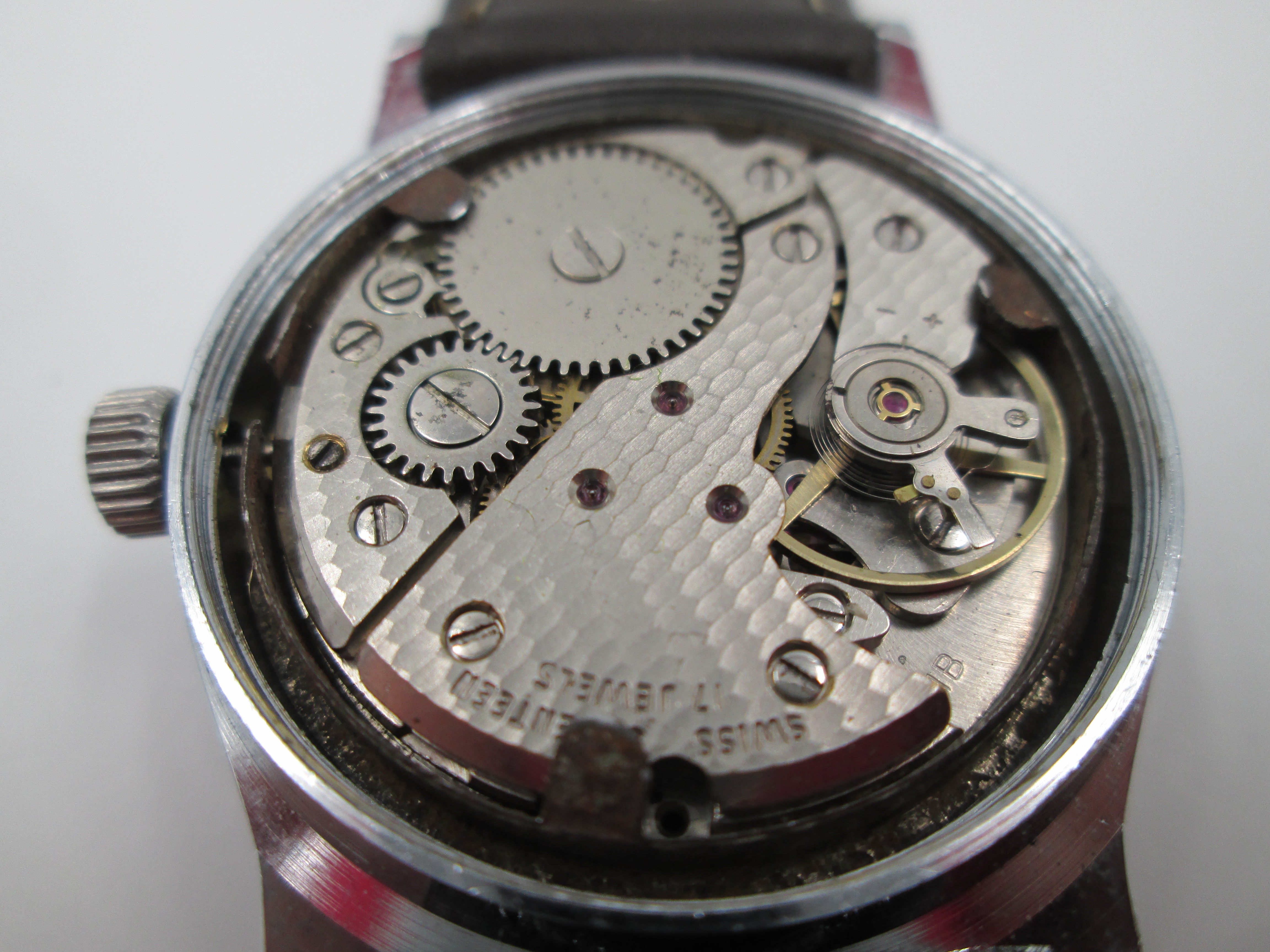 Titus Cadet Stainless Steel Manual Wind Luminescent Dial. El Coleccionista Eclectico
